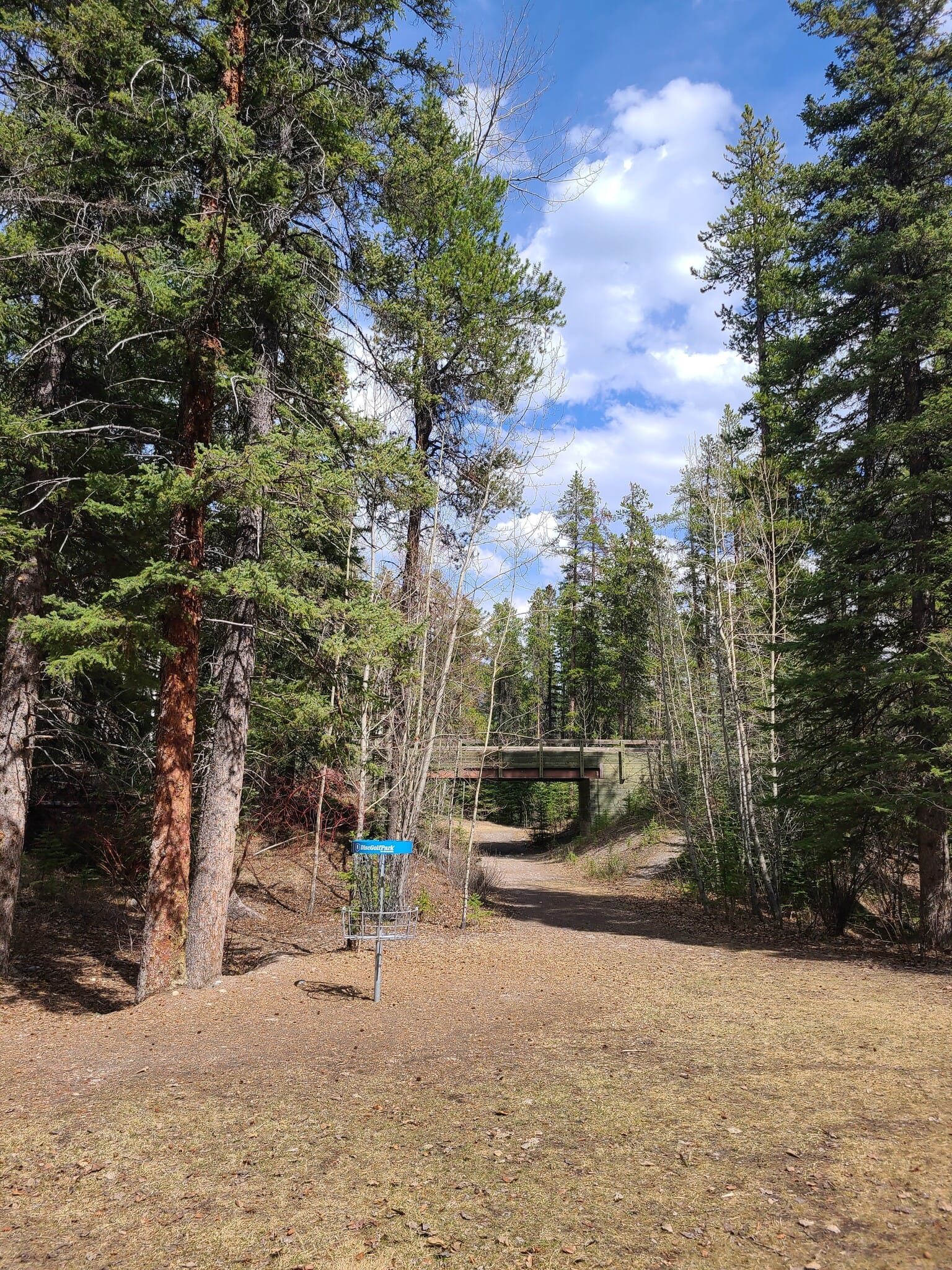 Trail Sports - Disc Golf